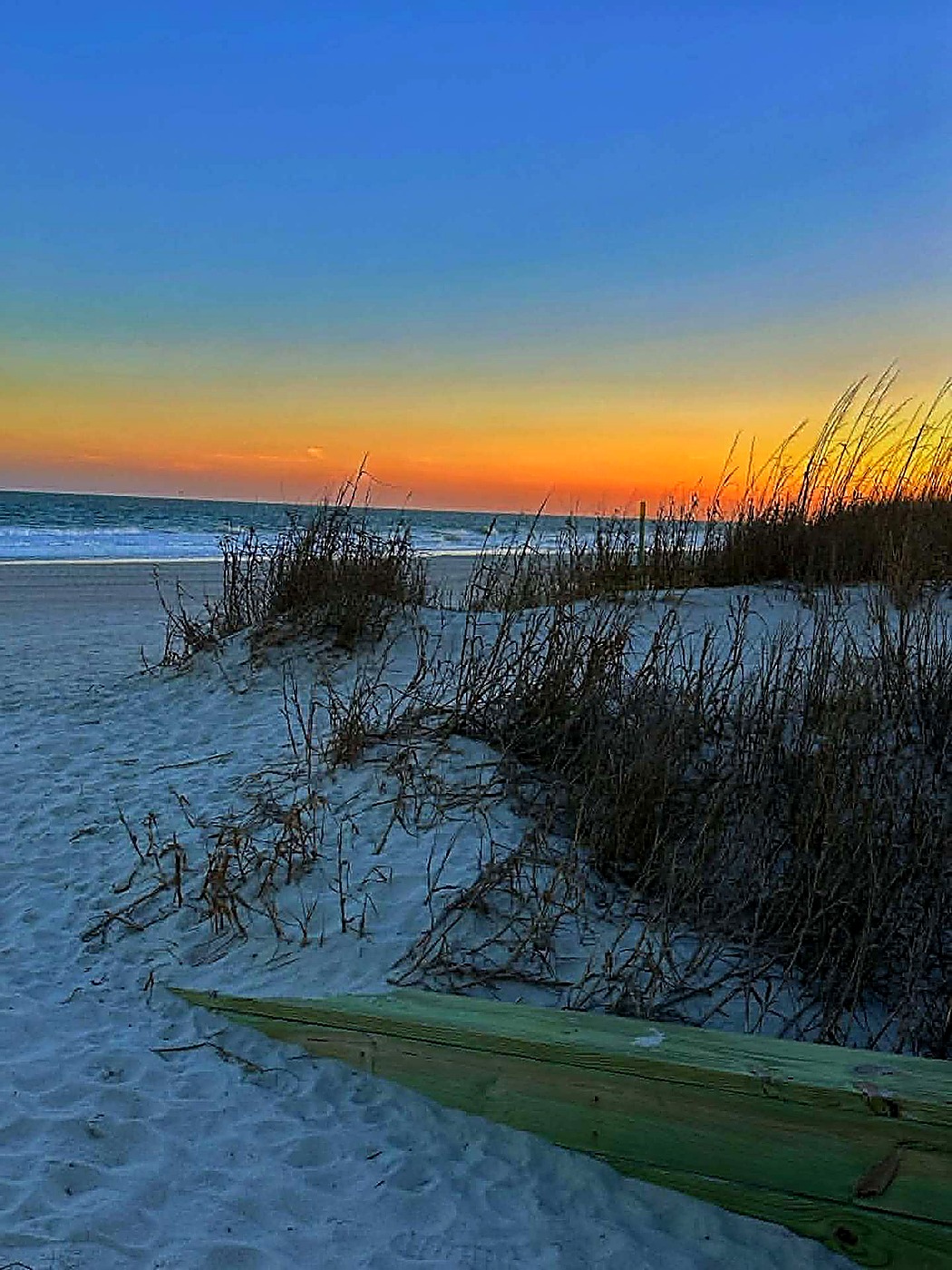 Sea oats and dunes at golden hour on the South Carolina coast